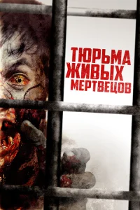 <h1>День 0</h1>