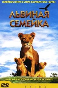 <h1>Львиная семейка</h1>