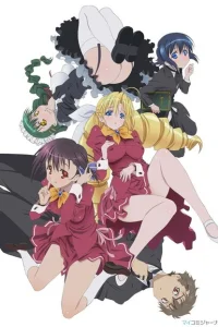 Леди против дворецких!