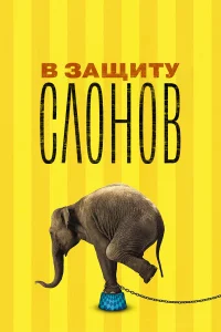 <h1>В защиту слонов</h1>